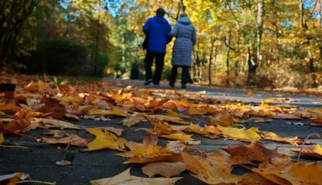 Jesień w Parku Miejskim na Bydgoskim Przedmieściu