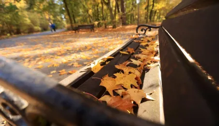Jesień w Parku Miejskim na Bydgoskim Przedmieściu