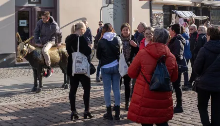 Toruń za pół ceny 2024