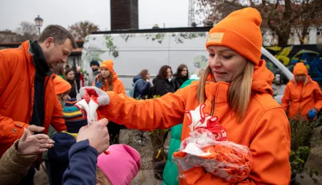Sadzenie mikrolasu metodą Miyawaki