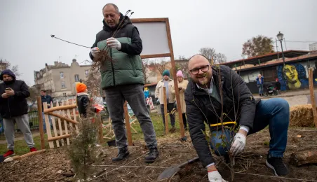 Sadzenie mikrolasu metodą Miyawaki