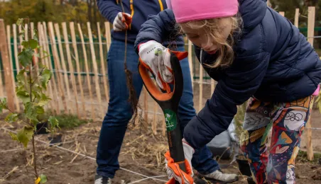 Sadzenie mikrolasu metodą Miyawaki