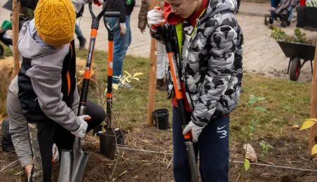 Sadzenie mikrolasu metodą Miyawaki