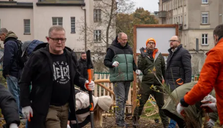 Sadzenie mikrolasu metodą Miyawaki