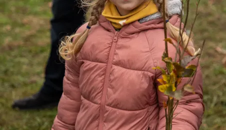 Sadzenie mikrolasu metodą Miyawaki