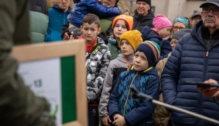 Sadzenie mikrolasu metodą Miyawaki