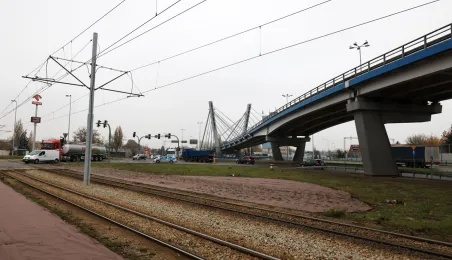 Nasadzenia przy Placu Daszyńskiego, listopad 2024