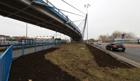 Nasadzenia przy Placu Daszyńskiego, listopad 2024