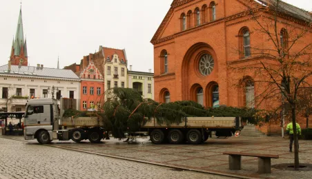 Montaż choinki bożonarodzeniowej, 29.11.2024 r.
