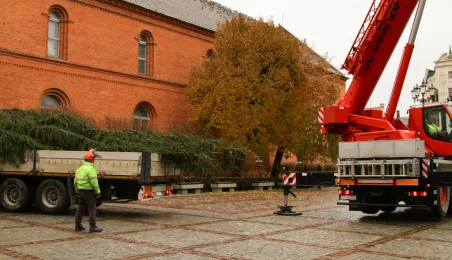 Montaż choinki bożonarodzeniowej, 29.11.2024 r.