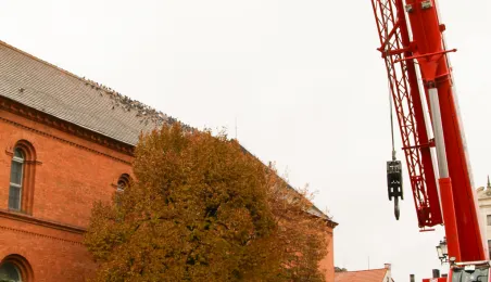 Montaż choinki bożonarodzeniowej, 29.11.2024 r.