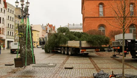 Montaż choinki bożonarodzeniowej, 29.11.2024 r.