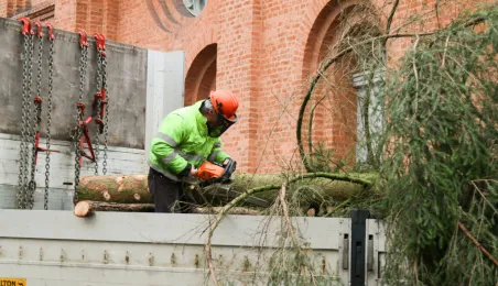 Montaż choinki bożonarodzeniowej, 29.11.2024 r.