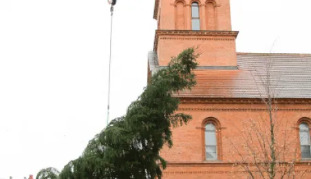 Montaż choinki bożonarodzeniowej, 29.11.2024 r.