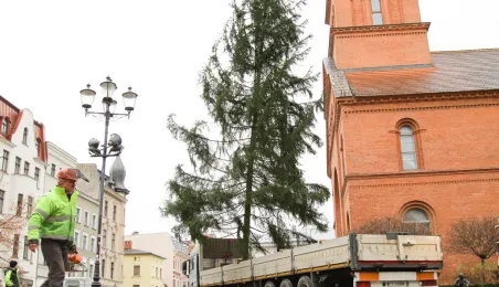 Montaż choinki bożonarodzeniowej, 29.11.2024 r.