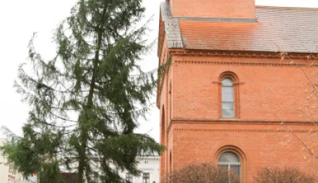 Montaż choinki bożonarodzeniowej, 29.11.2024 r.