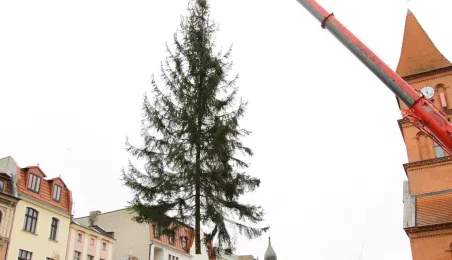 Montaż choinki bożonarodzeniowej, 29.11.2024 r.