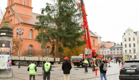 Montaż choinki bożonarodzeniowej, 29.11.2024 r.