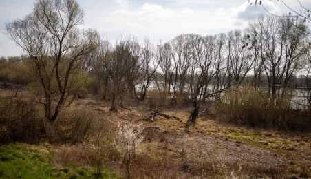 Sprzątanie Winnicy