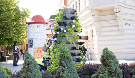 Nasadzenia kwiatów, 27.05.2025 r.