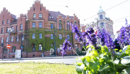 Nasadzenia kwiatów, 27.05.2025 r.