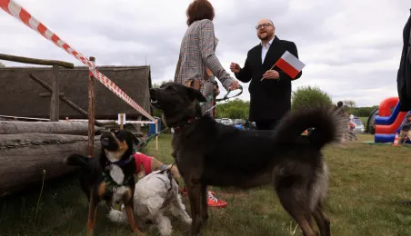 Rodzinnie na Pikniku Europejskim 