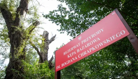 Odsłonięcie tablicy na Kępie Bazarowej