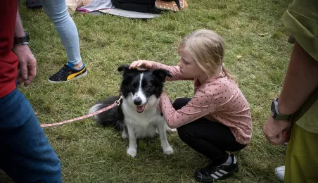 Piknik Przyjaciół Schroniska