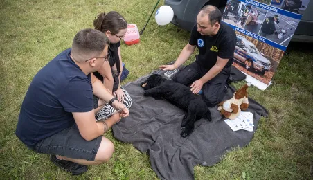 Piknik Przyjaciół Schroniska