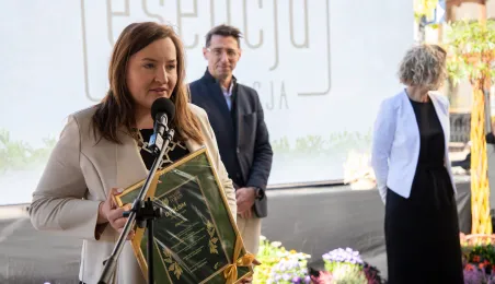 Najbardziej zielony ogródek toruńskiej starówki