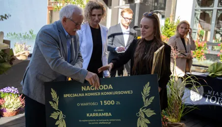 Najbardziej zielony ogródek toruńskiej starówki