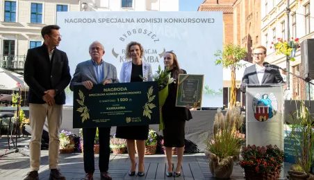 Najbardziej zielony ogródek toruńskiej starówki