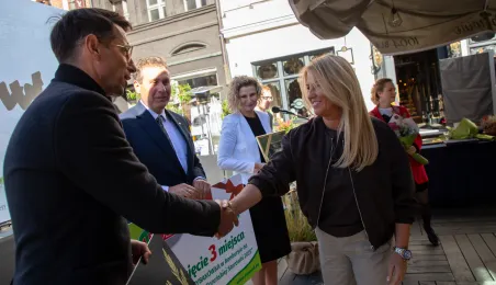 Najbardziej zielony ogródek toruńskiej starówki