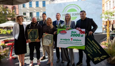 Najbardziej zielony ogródek toruńskiej starówki