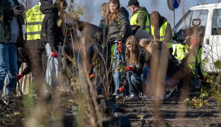 Zasadziliśmy mikrolas na lewobrzeżu