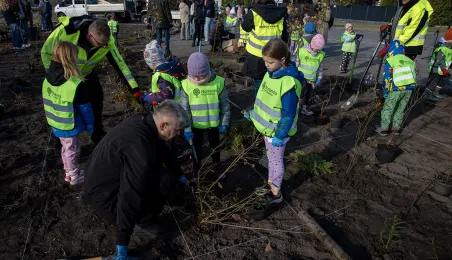 Zasadziliśmy mikrolas na lewobrzeżu