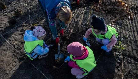 Zasadziliśmy mikrolas na lewobrzeżu