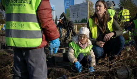 Zasadziliśmy mikrolas na lewobrzeżu