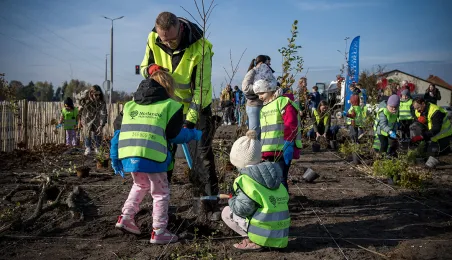 Zasadziliśmy mikrolas na lewobrzeżu