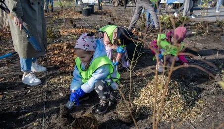 Zasadziliśmy mikrolas na lewobrzeżu