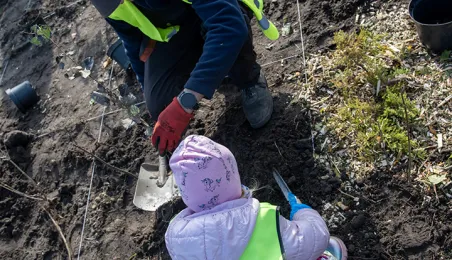 Zasadziliśmy mikrolas na lewobrzeżu