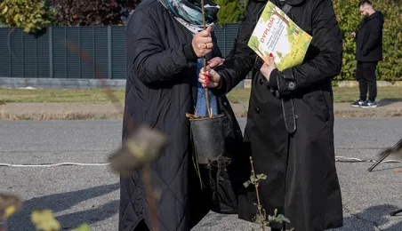 Zasadziliśmy mikrolas na lewobrzeżu