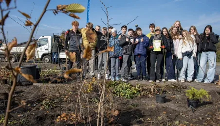 Zasadziliśmy mikrolas na lewobrzeżu