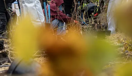 Trzeci mikrolas w Toruniu