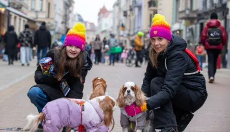 Toruń gra dziś z WOŚP - tradycyjna „Ściskawa” i wizyta w sztabach