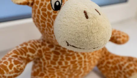 W Toruniu powstaje Centrum Wspierania Rodzin, 29.01.2026