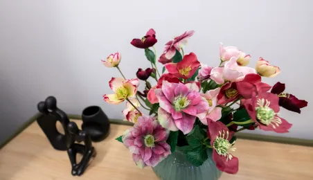 W Toruniu powstaje Centrum Wspierania Rodzin, 29.01.2026