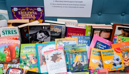 Świąteczna Bitwa Gwiazd po raz kolejny w Toruniu