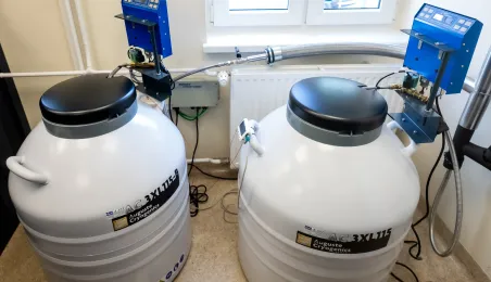 Nowoczesna hematologia w Toruniu