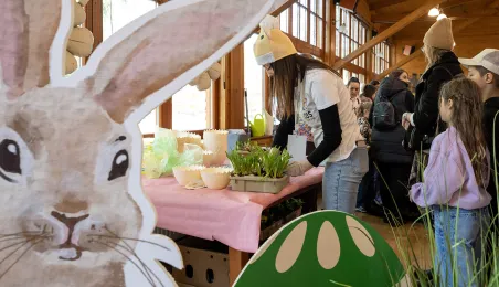 Leśne poszukiwanie pisanek na Barbarce